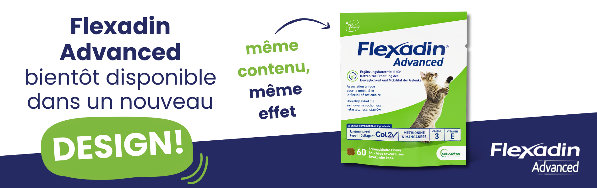 Flexadn Advanced Chat bientot nouveau design