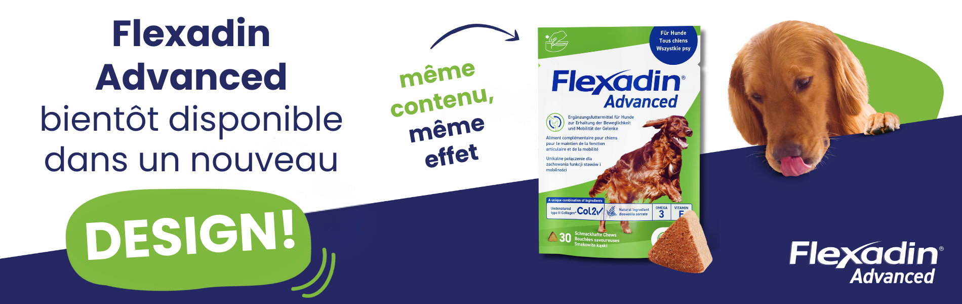 Flexadn Advanced Chien bientot nouveau design
