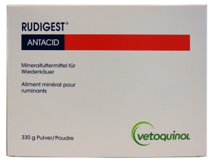 Rudigest Antacid